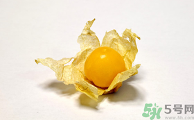 姑娘果的營養(yǎng)價(jià)值有哪些？姑娘果的功效與作用