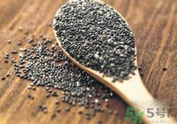 奇亞籽是什么？奇亞籽的功效作用