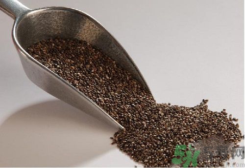 奇亞籽是什么？奇亞籽的功效作用