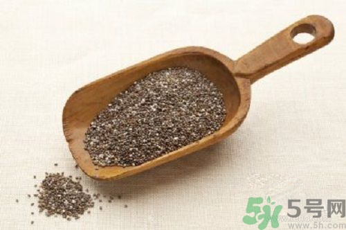 奇亞籽是什么？奇亞籽的功效作用