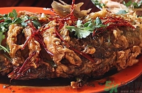 比目魚的營養(yǎng)價值 比目魚的功效與作用及食用方法 比目魚的營養(yǎng)價值 比目魚的功效與作用及食用方法