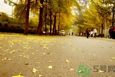 秋燥是什么？秋燥怎么辦？