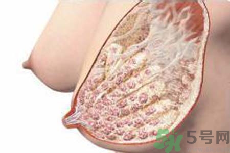 乳房脹痛的原因？乳房脹痛怎么辦？