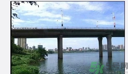 從多高的地方跳水會受傷？從多高的地方跳水會死亡？