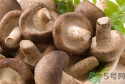 板栗和香菇能一起吃嗎?板栗和香菇一起吃會怎么樣 板栗和香菇能一起吃嗎?板栗和香菇一起吃會怎么樣