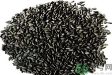 黑芝麻可以豐胸嗎？黑芝麻能不能豐胸？