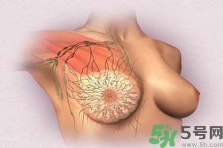 乳頭發(fā)黑怎么辦？怎么樣可以使乳頭變白？