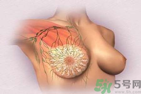 乳頭發(fā)黑是怎么回事？乳頭發(fā)黑是什么原因？