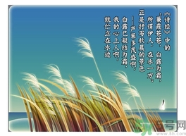 白露茶是什么茶？白露為什么要喝白露茶？