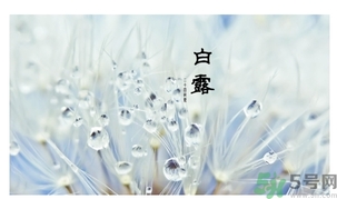 白露吃什么好？白露食療