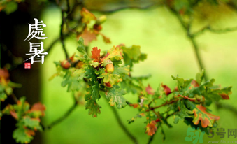 處暑如何養(yǎng)生？處暑養(yǎng)生要注意什么？