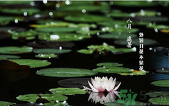 處暑如何養(yǎng)生？處暑養(yǎng)生要注意什么？