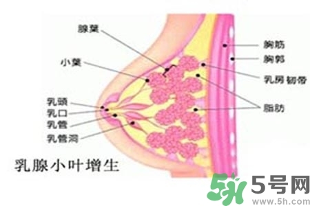 乳房上有硬塊怎么辦？乳房有硬塊的病因是什么？