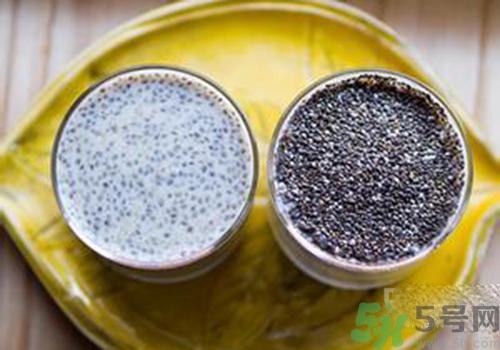 孕婦可以吃奇亞籽嗎？孕婦吃多少奇亞籽比較好？