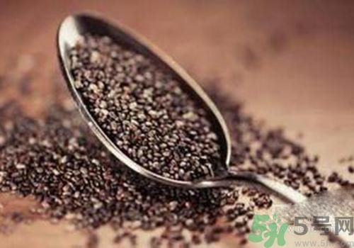 孕婦可以吃奇亞籽嗎？孕婦吃多少奇亞籽比較好？