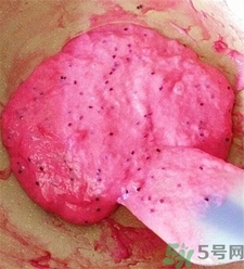 火龍果椰蓉奶凍怎么做?火龍果椰蓉奶凍的做法