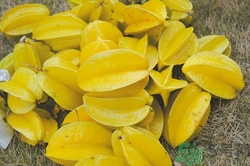 楊桃的熱量高嗎?一個楊桃的熱量是多少 楊桃的熱量高嗎?一個楊桃的熱量是多少