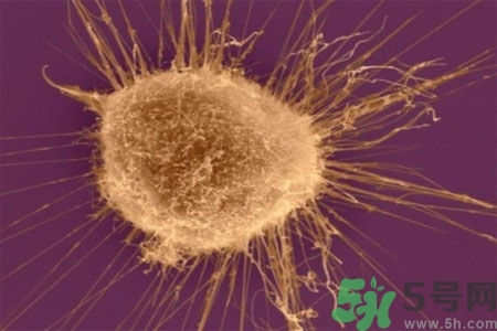 陰道干澀是什么？陰道干澀的危害有什么？