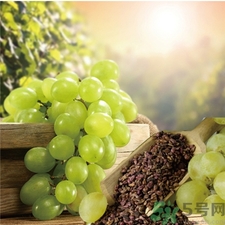 吃葡萄籽有什么好處?葡萄籽的功效與作用 吃葡萄籽有什么好處?葡萄籽的功效與作用