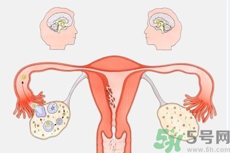 陰道干澀的原因是什么？陰道干澀怎么辦？