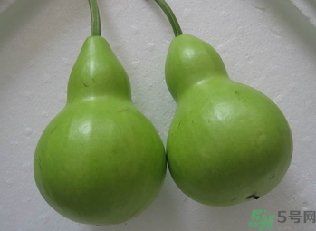 瓠子的營養(yǎng)價(jià)值 瓠子的功效和作用 瓠子的營養(yǎng)價(jià)值 瓠子的功效和作用