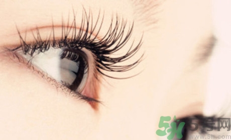 為什么睫毛膏會暈染?睫毛膏暈染怎么辦 為什么睫毛膏會暈染?睫毛膏暈染怎么辦