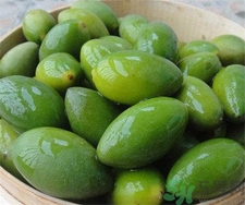 吃橄欖有什么好處?橄欖的功效與作用? 吃橄欖有什么好處?橄欖的功效與作用?