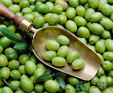 吃橄欖有什么好處?橄欖的功效與作用? 吃橄欖有什么好處?橄欖的功效與作用?