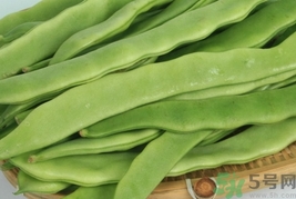 扁豆的營養(yǎng)價(jià)值 扁豆的功效與作用及食用方法 扁豆的營養(yǎng)價(jià)值 扁豆的功效與作用及食用方法