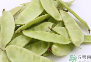扁豆的營養(yǎng)價(jià)值 扁豆的功效與作用及食用方法 扁豆的營養(yǎng)價(jià)值 扁豆的功效與作用及食用方法