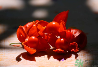 紅姑娘怎么吃？紅姑娘怎么保存？