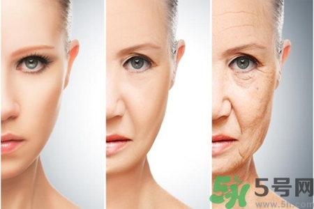 加速衰老的原因有哪些？人體衰老過程的變化是什么？