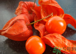 紅姑娘泡水喝可以治什么??？紅姑娘泡水喝的功效與作用