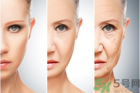 如何預(yù)防衰老？吃什么可以預(yù)防衰老？