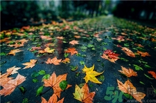 一場(chǎng)秋雨一場(chǎng)寒的意思?一場(chǎng)秋雨一場(chǎng)寒從什么時(shí)候開(kāi)始?