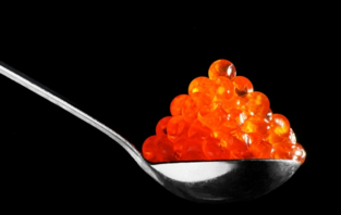  魚(yú)子醬好吃嗎？哪個(gè)牌子的魚(yú)子醬好？