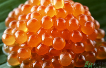 魚籽怎么清洗？魚籽怎么保存？