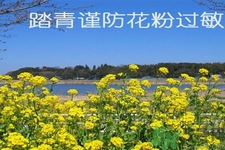 花粉過敏的表現(xiàn)是什么？如何有效的預(yù)防花粉過敏？