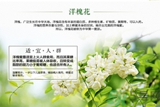 洋槐蜜的鑒別方法是什么？洋槐蜜多少錢一斤？