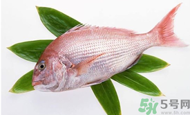 吃魚眼睛對眼睛有好處嗎？吃什么魚對眼睛好？