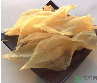 魚(yú)膠是什么？魚(yú)膠的功效與作用？