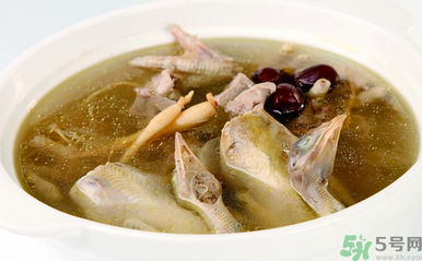 孕婦可以吃魚膠嗎？魚膠怎么燉適合孕婦吃？