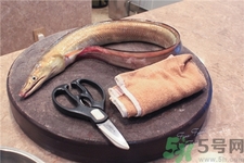 鰻魚(yú)是黃鱔嗎?鰻魚(yú)和鱔魚(yú)的區(qū)別