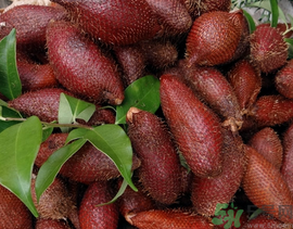 孕婦可以吃蛇皮果嗎？孕婦吃蛇皮果有什么好處？