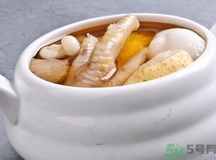海底椰的功效作用 海底椰的營(yíng)養(yǎng)價(jià)值和食用禁忌 海底椰的功效作用 海底椰的營(yíng)養(yǎng)價(jià)值和食用禁忌