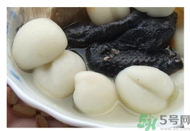 海底椰的功效作用 海底椰的營(yíng)養(yǎng)價(jià)值和食用禁忌 海底椰的功效作用 海底椰的營(yíng)養(yǎng)價(jià)值和食用禁忌