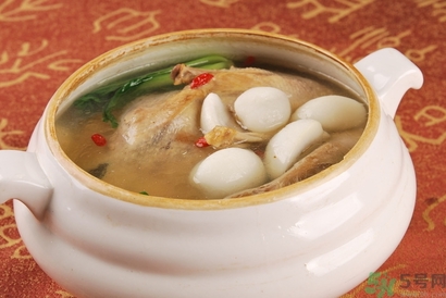 海底椰的功效作用 海底椰的營(yíng)養(yǎng)價(jià)值和食用禁忌 海底椰的功效作用 海底椰的營(yíng)養(yǎng)價(jià)值和食用禁忌