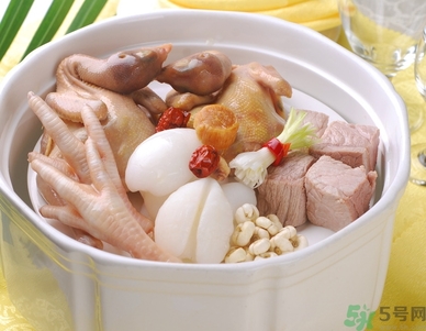 海底椰的功效作用 海底椰的營(yíng)養(yǎng)價(jià)值和食用禁忌 海底椰的功效作用 海底椰的營(yíng)養(yǎng)價(jià)值和食用禁忌