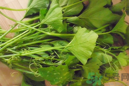 南瓜藤的功效作用有哪些？南瓜藤的食用價(jià)值是什么？