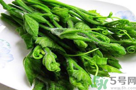 南瓜藤的功效作用有哪些？南瓜藤的食用價(jià)值是什么？